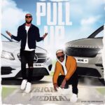 Triga Pull Up artcover