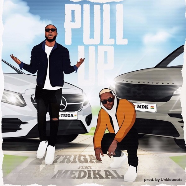 Triga Pull Up artcover