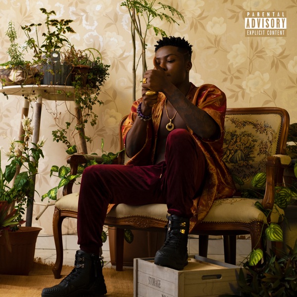 reekado banks you dey mad ft attifaya 1