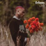 Ckay Felony