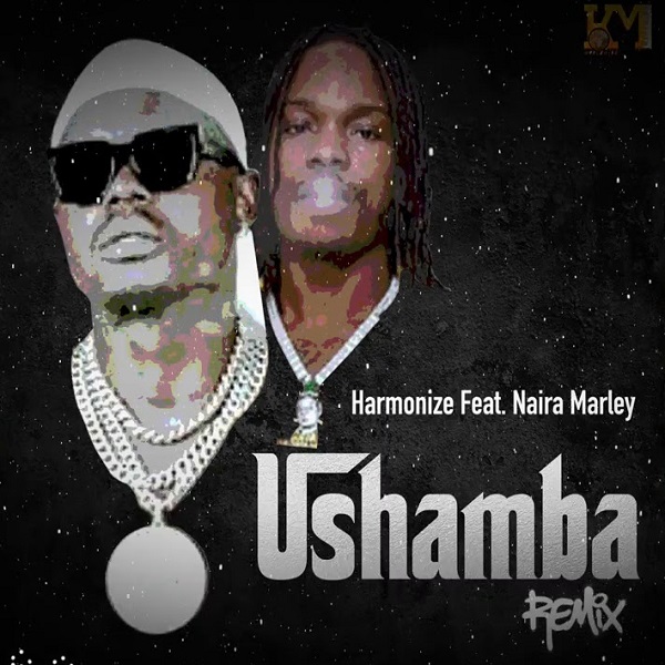 Harmonize Ushamba Remix