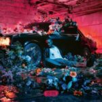Tayc – Fleur froide Album Download