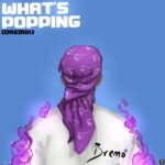 Dremo Whats Popping