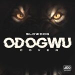 Odogwu BurnaBoyFt SlowDog Zoro