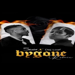 Skiibii bygone