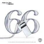 Felo Le Tee 66 1