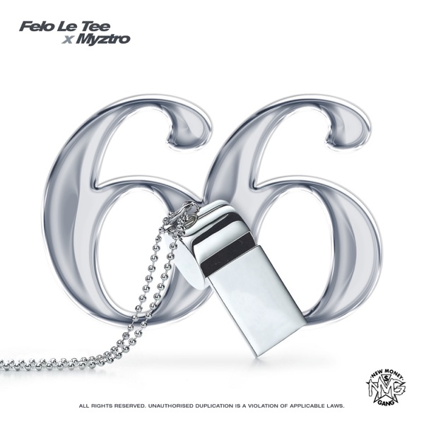 Felo Le Tee 66 1