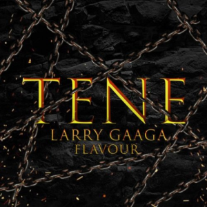 Tene 300x300 1