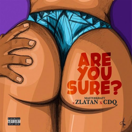 masterkraft ft zlatan ibile cdq are you sure art