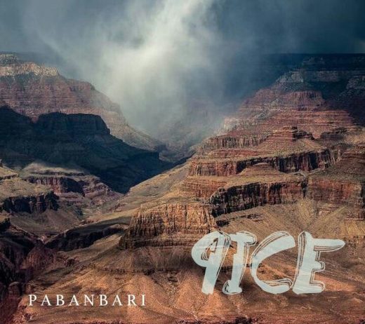 9ice papanbari artwork