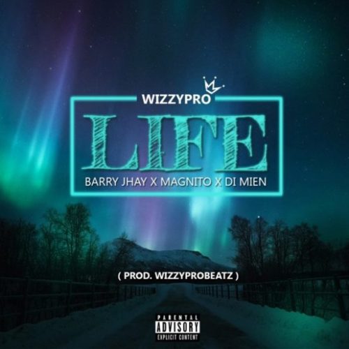 WizzyPro Life 585x585 1