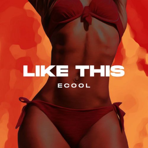 dj ecool like this artwork