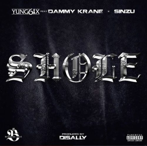 shole artwork