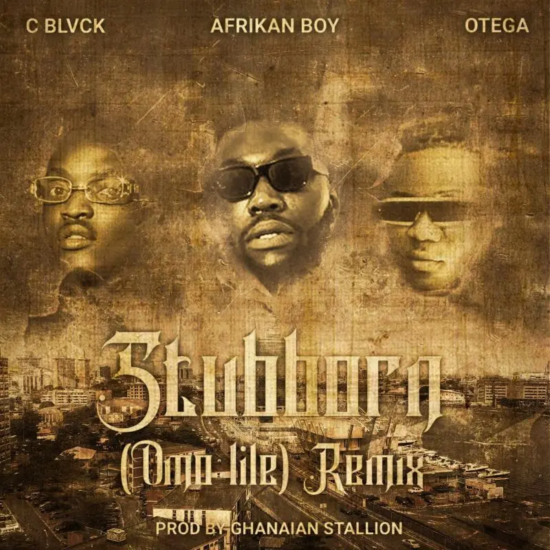 afrikan boy stubborn omo lile remix ft c blvck otega