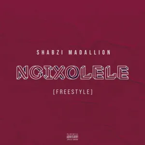 Busta 929 ft ShabZi Madallion Boohle Ngixolele Bootleg Remix