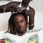 Fireboy DML – Low key