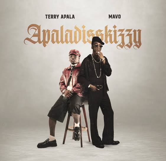 Terry Apala - Apaladisskizzy ft. Mavo