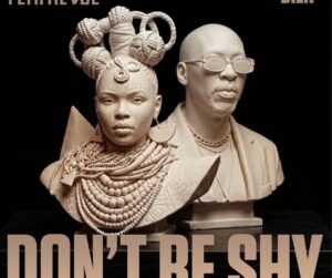 Yemi Alade – Don’t Be Shy Ft Bien