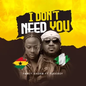 Fancy Gadam – I Don’t Need You Ft. Rudeboy