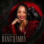Cardinal X25 – Bang’qamba