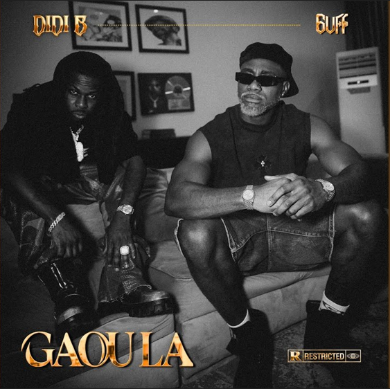 Didi B – Gaou La Ft. 6uff