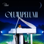 Pelumi Deborah - Oluwapelumi | MP3 Audio Download