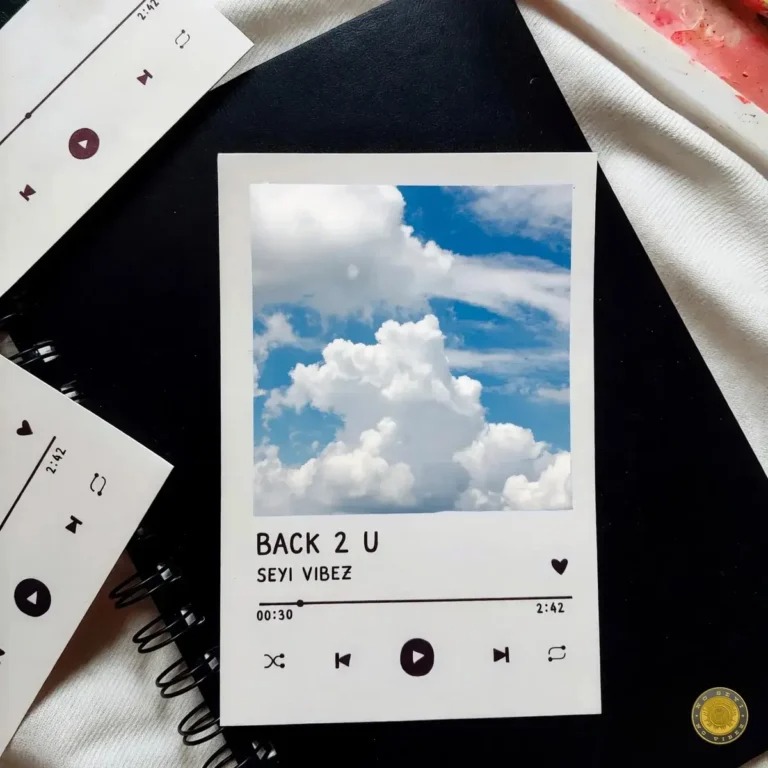 Seyi Vibez – BACK 2 U