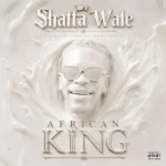 Shatta Wale - Body Pains