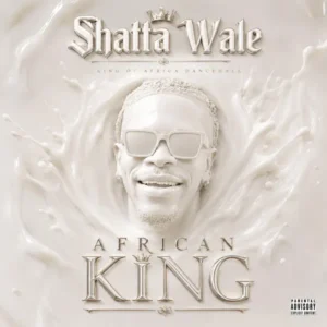 Shatta Wale - Body Pains