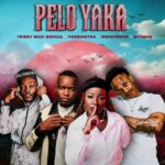 Tribby Wadi Bhozza – Pelo Yaka Ft Poobington, Wendy Moon & Hitboss SA