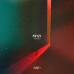 ZIDDO – Stay