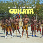 Best Naso – Gukaya Ft. Pili Nzalia