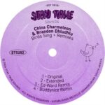 China Charmeleon – Birds Sing (Ed-Ward Remix) Ft. Brandon Dhludhlu & Ed-Ward