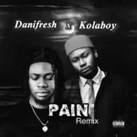 Danifresh - No Pain (Remix) ft. Kolaboy
