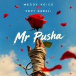Meddy Voice – Mr Pusha Ft. Eddy Gabali