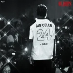 OlaDips - BIG CELEB (Ogo) | MP3 Audio Download