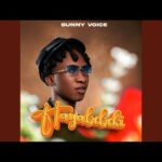 Sunny Voice – Hayabebeki
