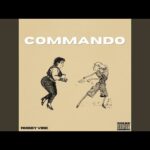 Robby Vibe – Commando