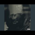 Offset – Different Species