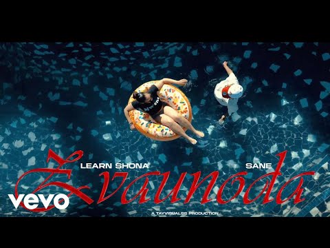 Learn Zimbabwe – Zvaunoda Ft. Sane Wav) ft. Sane wav