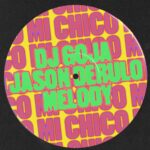 DJ Goja, Jason Derulo & Melody – Mi Chico (Jason Derulo x Melody Version)