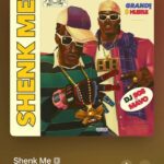 DJ 808 - Shenk Me Ft. Mavo