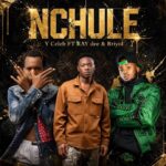 Y Celeb ft. Ray Dee & Briyol – Nchule