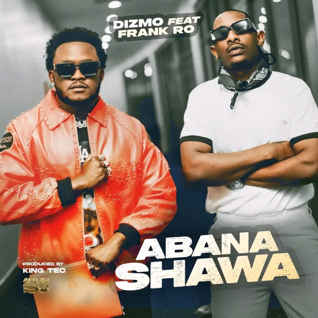 Dizmo ft. Frank Ro – Abana Shawa
