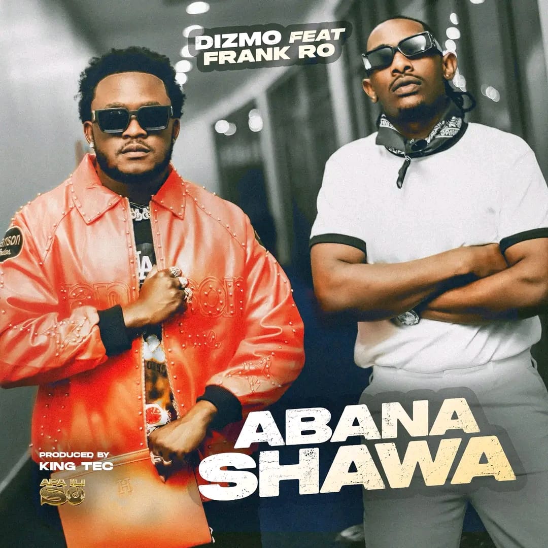 Dizmo ft. Frank Ro – Abana Shawa