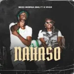 Mczo Morfan (Big) – Nahaso Ft D Voice