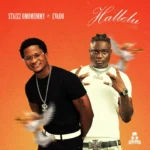 Staizz Omomummy – Hallelu Ft. Evado
