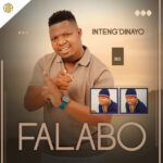 Falabo – Savele Sahlukana Ft. Sne Ntuli